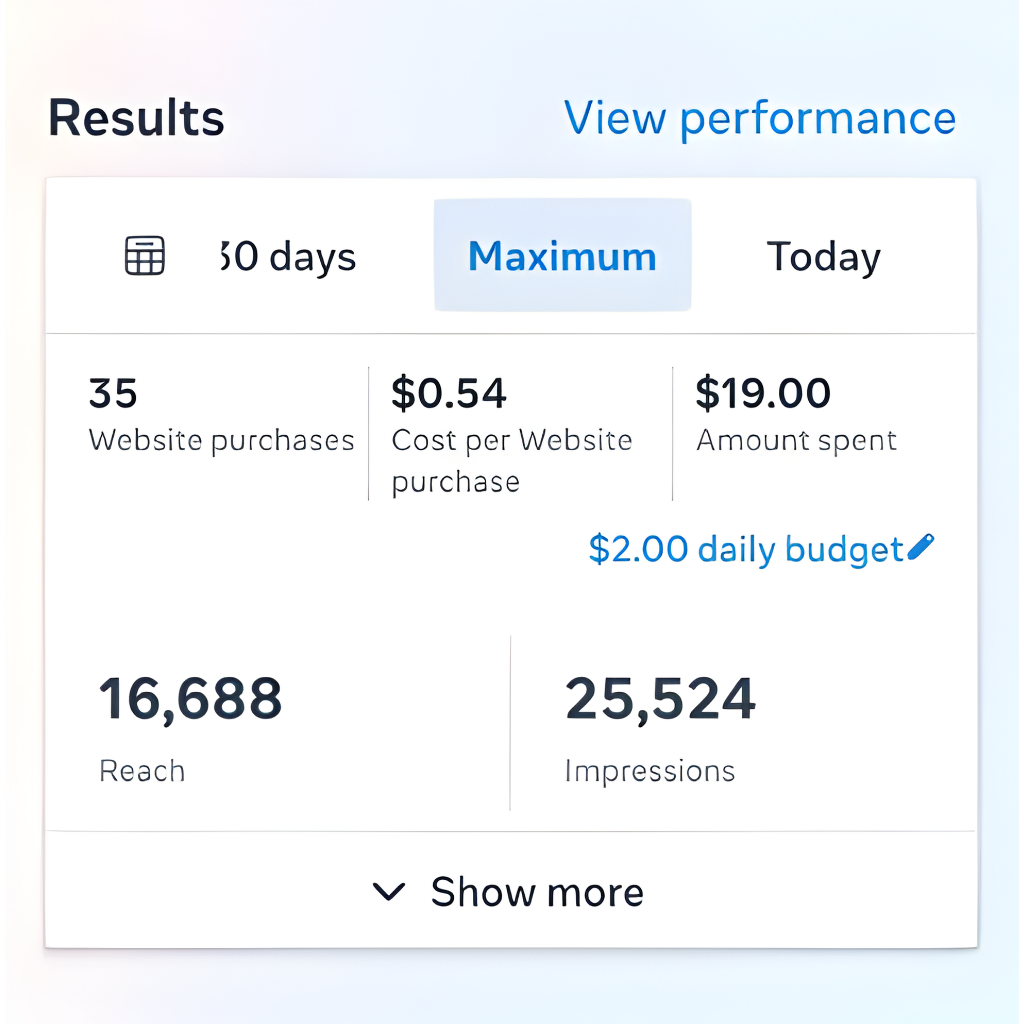 meta ads results (6)